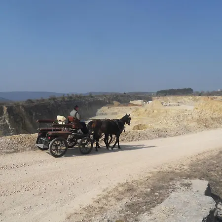 Ferienwohnung Schernfeld