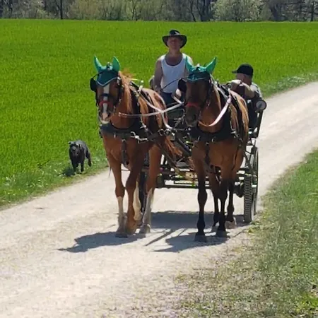 Ferienwohnung Apartmán *