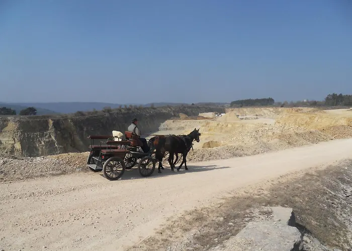 Ferienwohnung Schernfeld