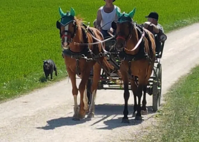 Ferienwohnung Διαμέρισμα *